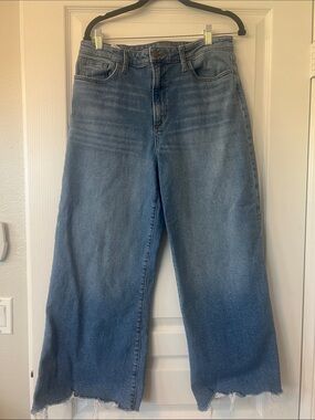 Like New Joe's Jeans Wide Leg Ankle Seoul size 31